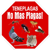 Negocio Control De Plagas - Teneplagas