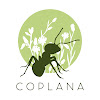 Negocio Coplana | Control De Plagas Y Tratamiento Carcoma