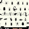 Desinfecciones Abedul Sl