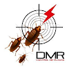 Dmr