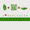 Negocio Foraplagues - Assessorament I Control De Plagues Ddd - Desinfeccions I Fumigacions