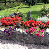 Negocio Izeia Jardinería