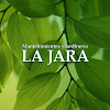 Negocio Mantenimientos Y Jardineria La Jara