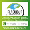 Plaguibur