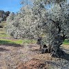 Sanival Sl