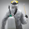 Todoplagas Madrid - Fumigación Y Control De Plagas